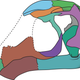 Line drawing of the restored skull of Avicranium renestoi based on the three-dimensional surface renderings of skull elements. From Pritchard and Nesbitt, 2017.